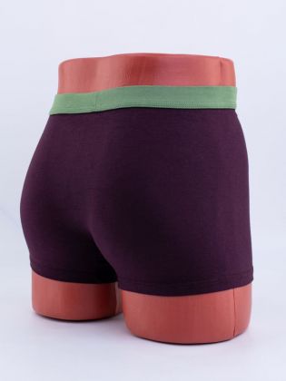 Однотонные мужские боксеры с логотипом "Donara" - фото 3